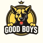 Foto da Equipa Os good boys